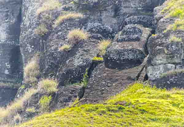 36 - Chile - isla de Rapa Nui o Pascua - Rano Raraku - el Moai gigante